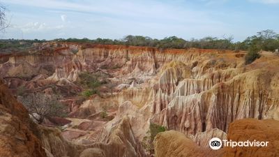 Kenya Dream Safari & tours