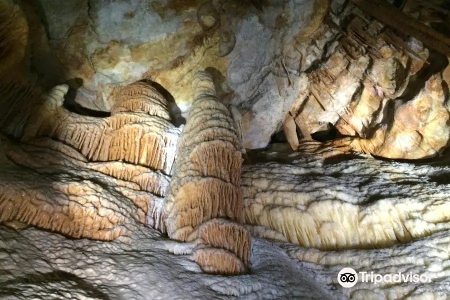 Concert in the Caves