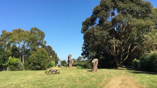 Heritage Pear Orchard