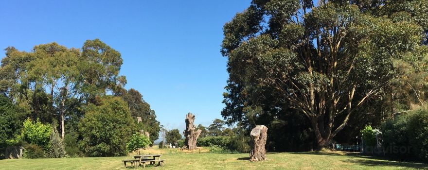 Heritage Pear Orchard