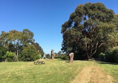 Heritage Pear Orchard