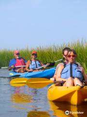 Baycats - Ocean City, NJ - Kayaks, Paddle Boards & Catamarans