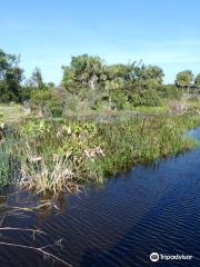 Peaceful Waters Sanctuary