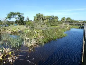 Peaceful Waters Sanctuary