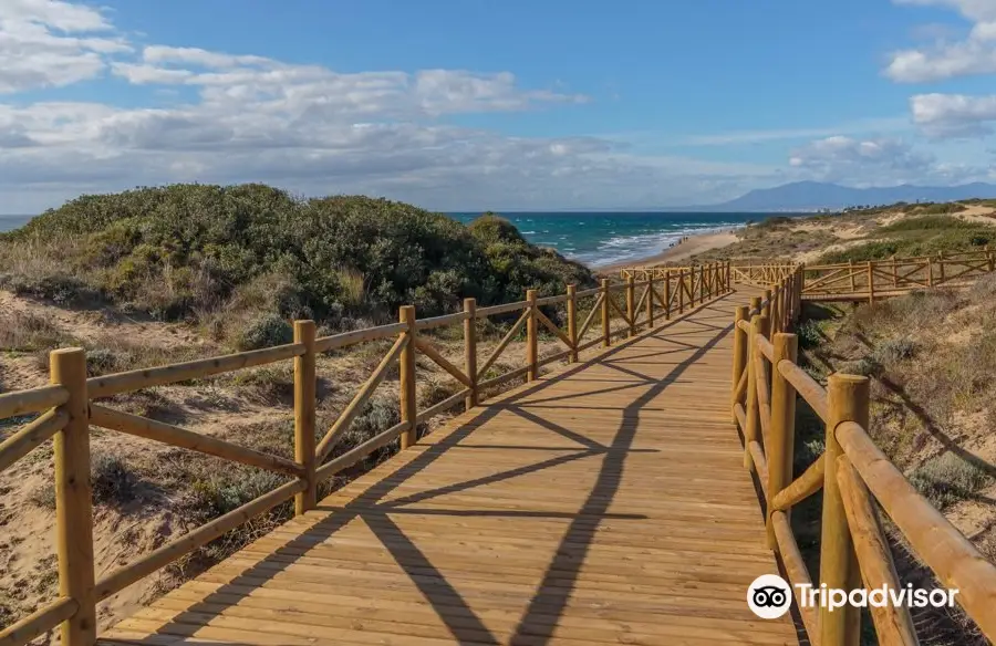 Senda Litoral Dunas de Artola