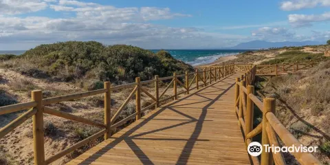 Senda Litoral Dunas de Artola