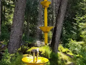 Elmer's Fountain