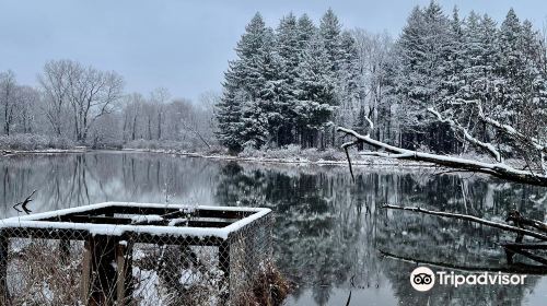 Reinstein Woods Nature Preserve