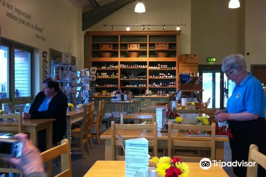St Andrews Cheese Company