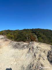 Hiketa Castle