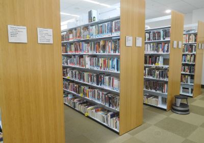 Публичная библиотека Шампейн