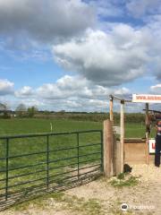 AA Shooting School - Clay Pigeon Shooting Dorset