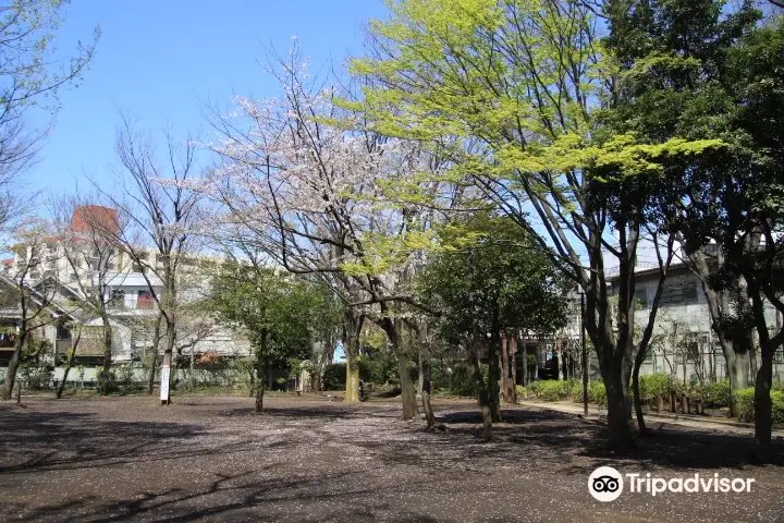 Chuo Ryokuchi Park