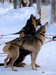 Giewont Husky Adventures