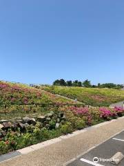 Oinoyama Park