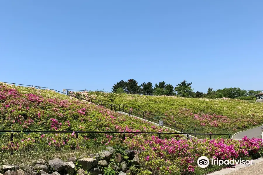 Oinoyama Park