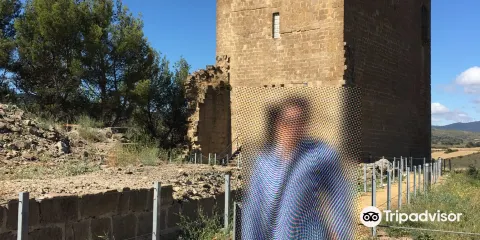 Castillo de Navardun