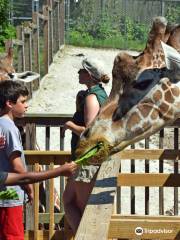 エルムウッド・パーク動物園