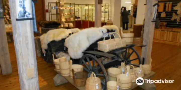 Sagadi Forest Museum