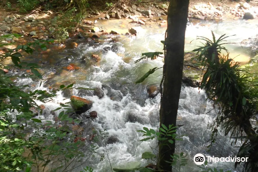 Parque Natural das Aves