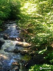 Franconia Falls