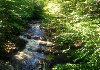 Franconia Falls