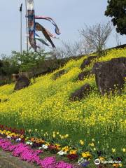 Fukuchi Sanroku Flower Park