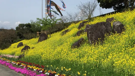 Fukuchi Sanroku Flower Park