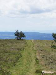 Livradois-Forez Regional Nature Park