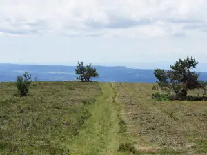 Livradois-Forez Regional Nature Park