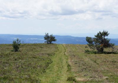 Livradois-Forez Regional Nature Park