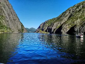 Trollfjord Cruise