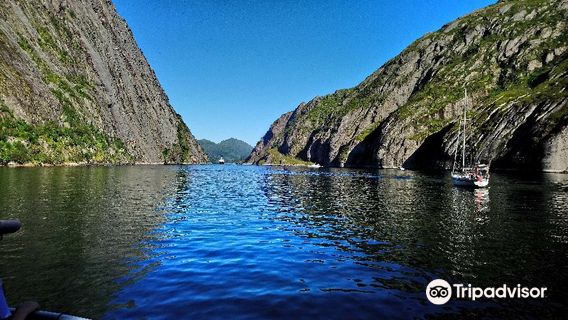 Trollfjord Cruise