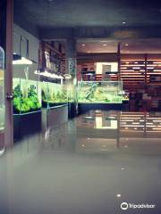 Still Water Aquariums India LLP