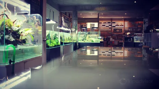 Still Water Aquariums India LLP