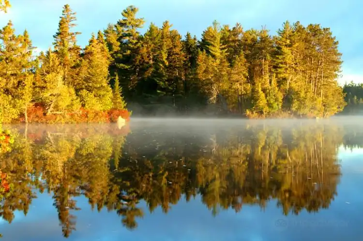 Beaver Cove