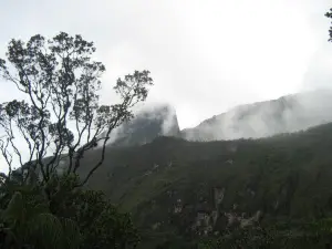 Pico da Neblina