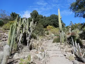 Jardín botánico de la universidad de California en Berkeley