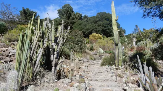 カリフォルニア大学植物園