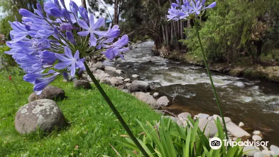 Rio Yanuncay