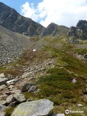 Lago Torbido