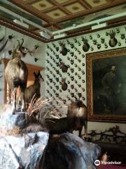 Alpenfauna Museum "Beck Peccoz" - Museo regionale della fauna alpina