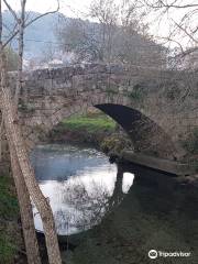 Puente De Francelos