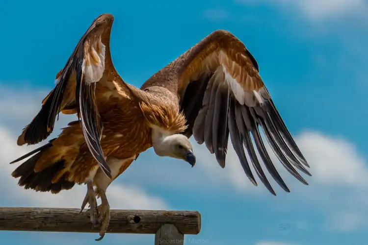 Hotels in Marcilly-le-Châtel