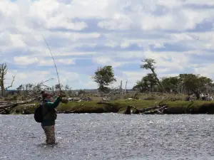 Pesca Patagonica