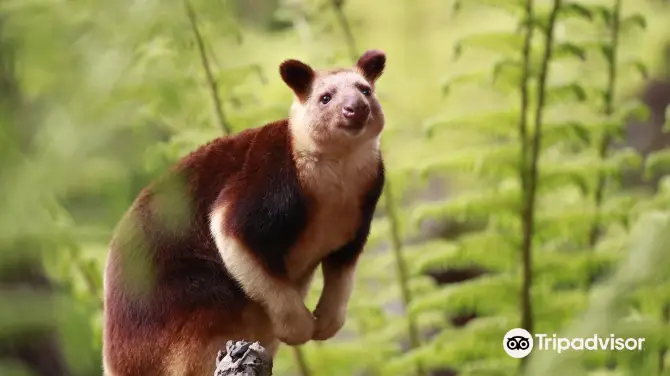 4_Healesville Sanctuary