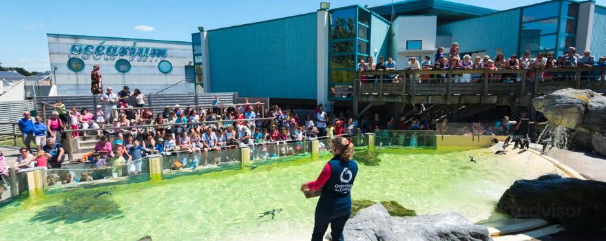 Ocearium du Croisic
