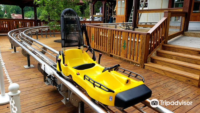 Georgia Mountain Coaster