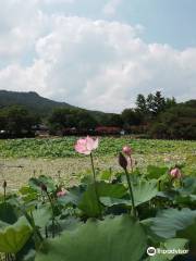 Seochulji Pond in Gyeongju