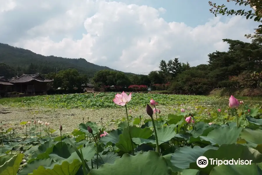 Seochulji Pond in Gyeongju